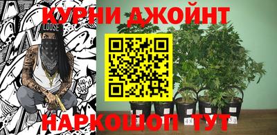 spice Будённовск