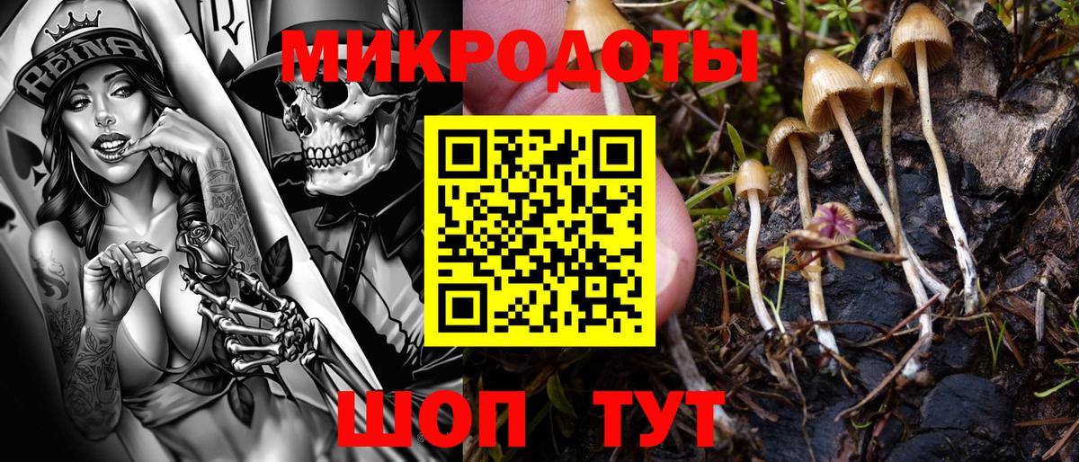 Галлюциногенные грибы мицелий  Вход с VPN  Псилоцибиновые грибы Psilocybe  Янаул 